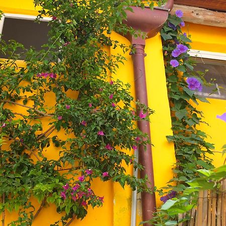 La Maison Jaune 세테 객실 사진